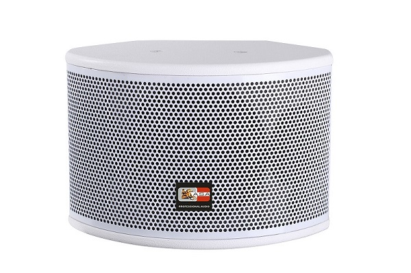 6.5寸會議全頻音箱 BF-602